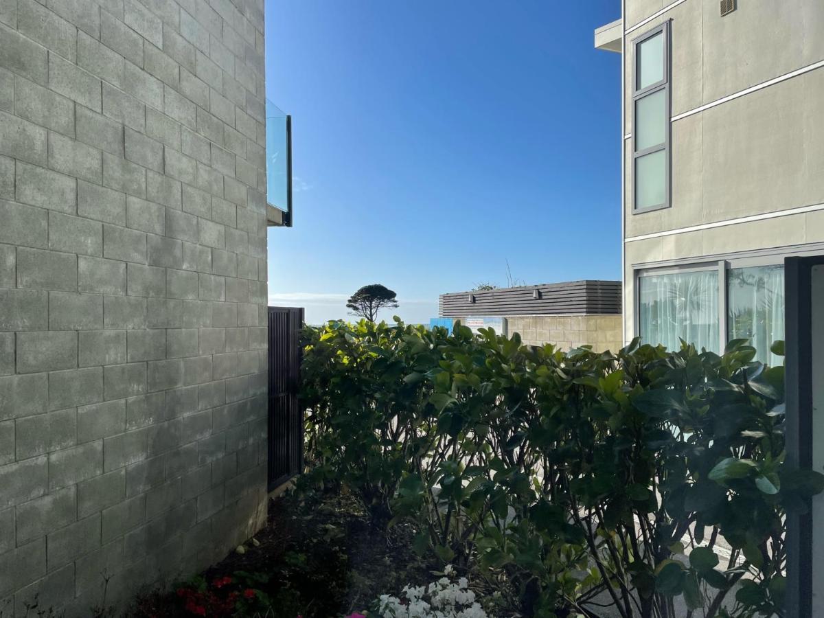 Carters By The Sea Beachside Studio Apartments Carters Beach Exteriör bild